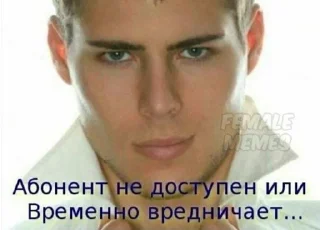 🙂 emoji Пипиу Telegram sticker 19 of 54