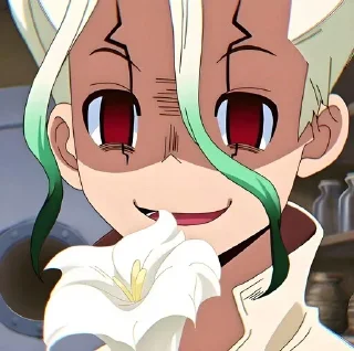 Sticker from Доктор стоун @anime_stickerr