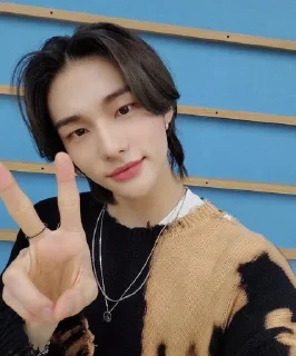 🌟 emoji Дети от ники@Skz_myLove1 Telegram sticker 23 of 46