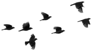 〰️ emoji maturkyZlarRr Telegram sticker 22 of 22