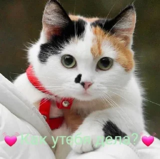 ❔ emoji 🅘 🅛🅞🅥🅔 🅨🅞🅤2 Создаель@MrExperiment360 Telegram sticker 14 of 119