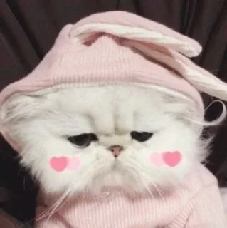 🍓 emoji 🅘 🅛🅞🅥🅔 🅨🅞🅤2 Создаель@MrExperiment360 Telegram sticker 24 of 119