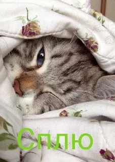 😴 emoji 🅘 🅛🅞🅥🅔 🅨🅞🅤2 Создаель@MrExperiment360 Telegram sticker 6 of 119