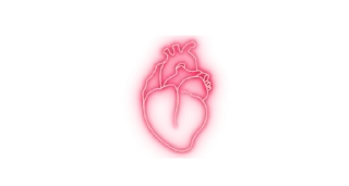 🫀 emoji maturkyZlarRr Telegram sticker 20 of 22