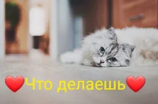 ❔ emoji 🅘 🅛🅞🅥🅔 🅨🅞🅤2 Создаель@MrExperiment360 Telegram sticker 9 of 119