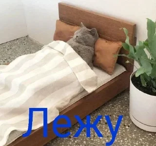 🛏 emoji 🅘 🅛🅞🅥🅔 🅨🅞🅤2 Создаель@MrExperiment360 Telegram sticker 7 of 119