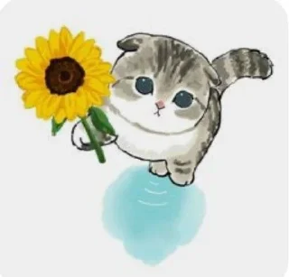Sticker from котики.