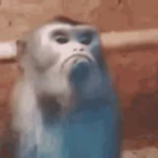 ☹️ emoji ЖМИ 👉 @memes_stikers 👈 ЖМИ...................................... Telegram sticker 22 of 50