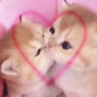 💕 emoji 💗pink💗 @kot0_sasha Telegram sticker 9 of 24