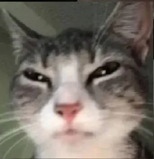 😑 emoji Котики от Ксюши kotmyarrrrrrr Telegram sticker 2 of 56