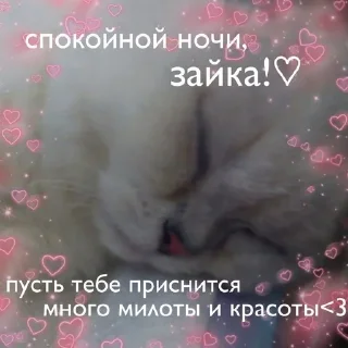 ❤️‍🔥 emoji Люблю Ульяну, а Глеб убан Telegram sticker 23 of 35
