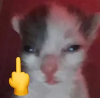 🌟 emoji котики Telegram sticker 19 of 36