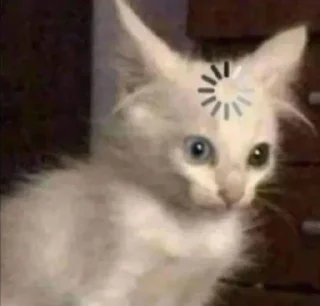 🌟 emoji котики Telegram sticker 17 of 36