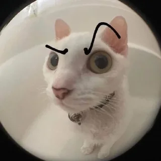 🌟 emoji котики Telegram sticker 16 of 36