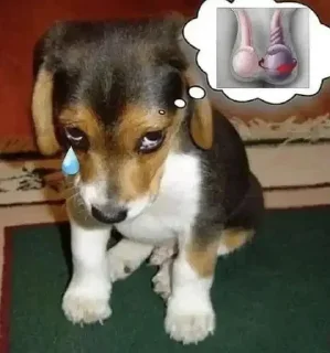 😔 emoji секси шмекси стикерпак ➡️ @Ctikerubot Telegram sticker 22 of 119