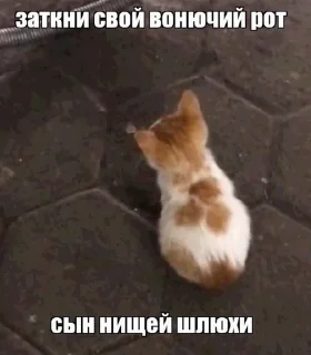 😡 emoji цитатки пон Telegram sticker 12 of 120
