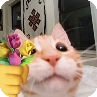Sticker from котики