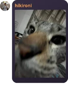 😱 emoji чайная вентиляция pack by @QuotLyBot Telegram sticker 22 of 38