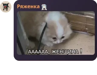 🤳 emoji чайная вентиляция pack by @QuotLyBot Telegram sticker 3 of 38