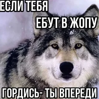 😏 emoji Стикеры @stickrubot @textmeru_bot Telegram sticker 4 of 58