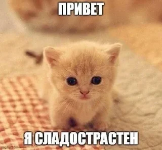 😁 emoji Стикеры @stickrubot @textmeru_bot Telegram sticker 23 of 58