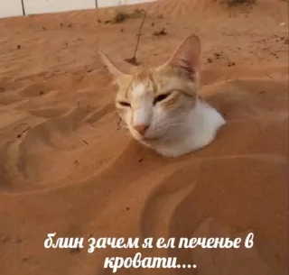 😒 emoji Стикеры @stickrubot @textmeru_bot Telegram sticker 6 of 58