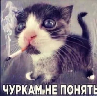 😜 emoji Стикеры @stickrubot @textmeru_bot Telegram sticker 5 of 78
