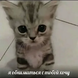 😒 emoji Стикеры @stickrubot @textmeru_bot Telegram sticker 10 of 58
