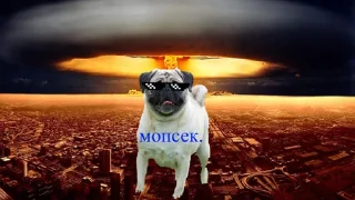 Sticker from у мужлан нет прав