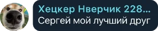 Sticker from у мужлан нет прав