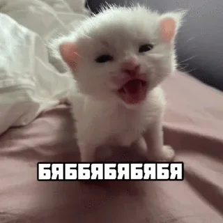 Sticker from ебнутые фразы