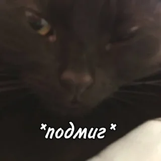 😏 emoji мы не геи !! Telegram sticker 7 of 56