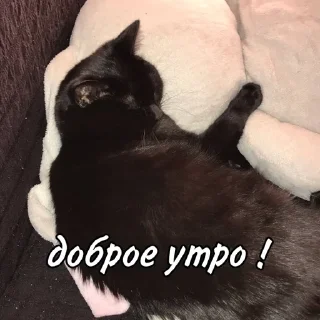 ☀️ emoji мы не геи !! Telegram sticker 1 of 56