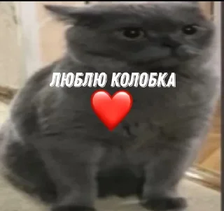 Sticker from Колобок