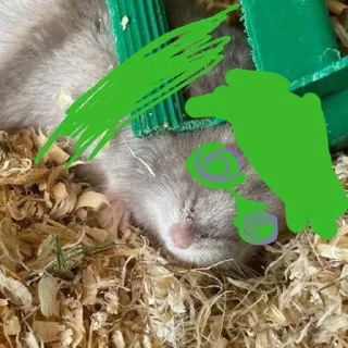 Sticker from SAMIELUCHIEIIMBOVIENAHUY