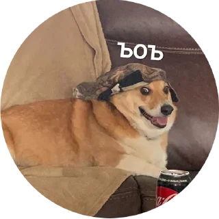 Sticker from corgi chris