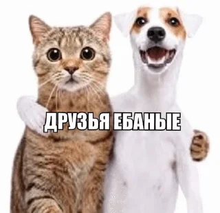 Sticker from писи каки 2