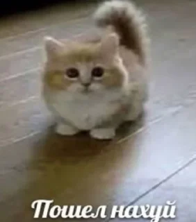 Sticker from Илья малыш