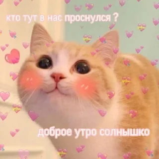 ☺️ emoji утро🤍 ноченьки🌙 Telegram sticker 8 of 120