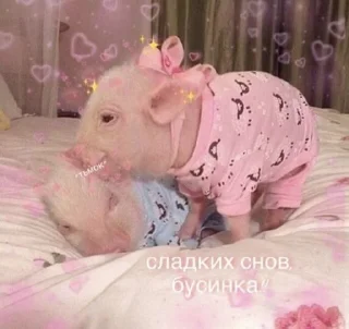 🐖 emoji утро🤍 ноченьки🌙 Telegram sticker 21 of 120