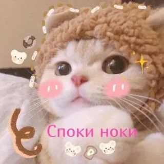🥞 emoji утро🤍 ноченьки🌙 Telegram sticker 20 of 120