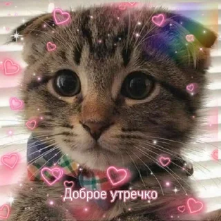 🌤 emoji утро🤍 ноченьки🌙 Telegram sticker 10 of 120