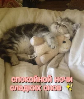 💫 emoji утро🤍 ноченьки🌙 Telegram sticker 24 of 120