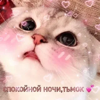 😗 emoji утро🤍 ноченьки🌙 Telegram sticker 17 of 120