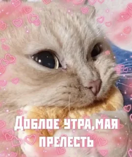 😘 emoji утро🤍 ноченьки🌙 Telegram sticker 7 of 120