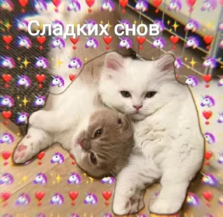 🦄 emoji утро🤍 ноченьки🌙 Telegram sticker 19 of 120