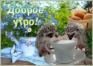 🥛 emoji утро🤍 ноченьки🌙 Telegram sticker 13 of 120