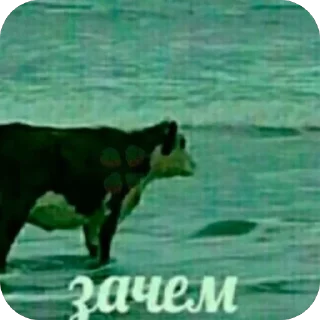 Sticker from эщкере