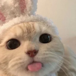 😛 emoji SugarDoubtHippy Telegram sticker 8 of 30