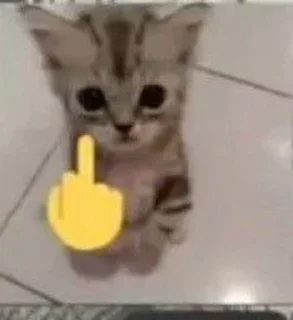 🖕 emoji Video Favorite stickers Telegram sticker 23 of 50